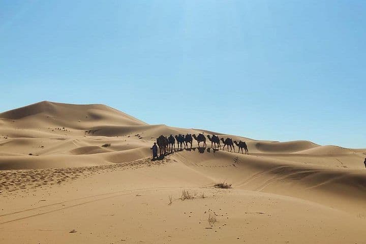 activity-img
