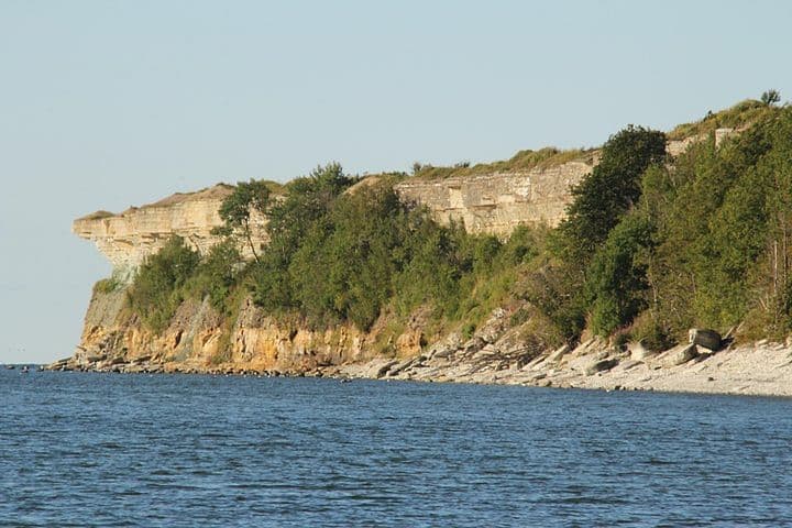 Gallery 4